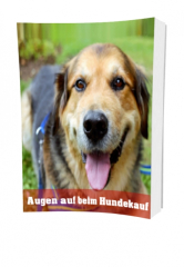 Augen auf beim Hundekauf  - eBook